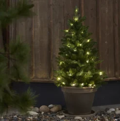 Julgran 'Byske Belysning' - Grön