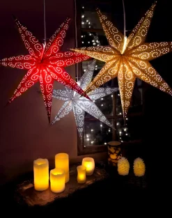 Julstjärna 'Antique' - Röd