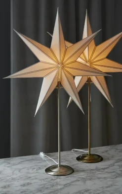 Julstjärna 'Nicolas' - Vit