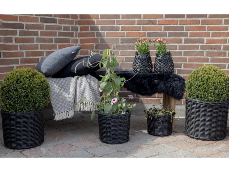 Korgar 'Bogor Black' 4-pack - Svart